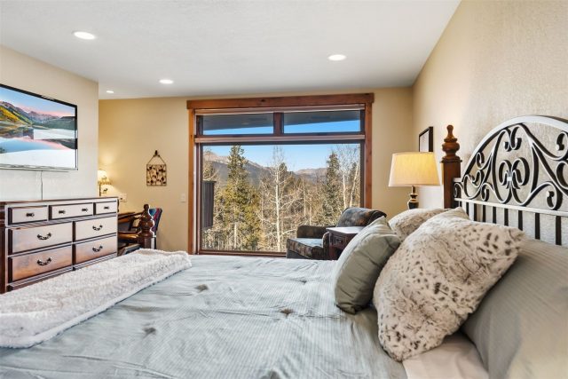 1682 Boreas Pass Road C photo 29