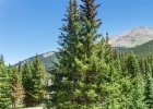16 Bemrose Trail photo 15 16 Bemrose Trail photo 15