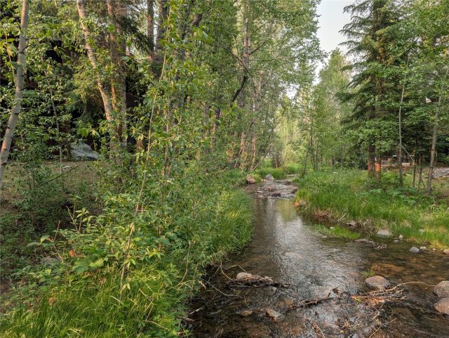 Condo in Brook Forest At Frisco Condo, Frisco, CO — photo 5 (MLS S1069843)