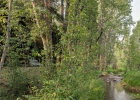 140 Creekside Drive E photo 5
