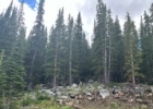 355 Quandary View Drive photo 1