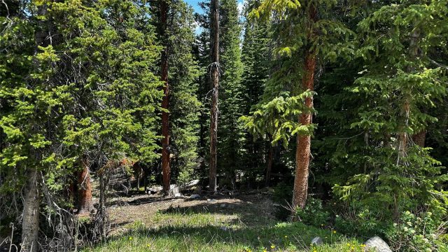 Land in Quandary Village Sub Aka Northstar Village, Breckenridge, CO (MLS S1069849)
