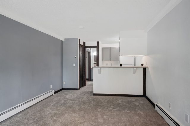 7307 Ryan Gulch Road D-8 photo 11