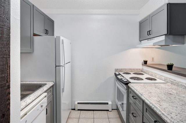 7307 Ryan Gulch Road D-8 photo 14