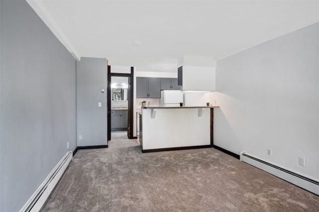 7307 Ryan Gulch Road D-8 photo 9
