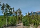 1139 Emerald Road photo 38