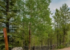 1139 Emerald Road photo 42