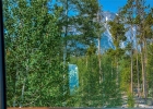 1139 Emerald Road photo 5