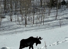 105b Wildernest Court Court 105b photo 28 105b Wildernest Court Court 105b photo 28