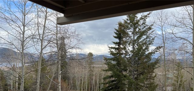 7317 Ryan Gulch Road 107 photo 16
