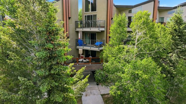 7317 Ryan Gulch Road 107 photo 18