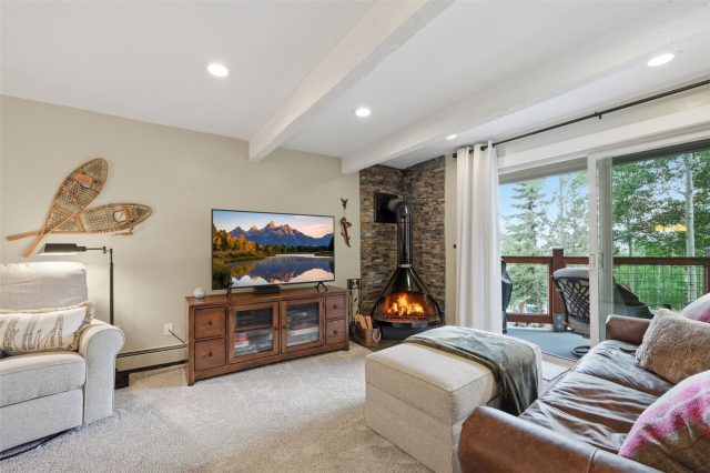 7317 Ryan Gulch Road 107 photo 9
