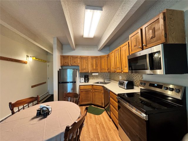 Condo in Ten Mile Creek Condo, Frisco, CO — photo 2 (MLS S1069917)