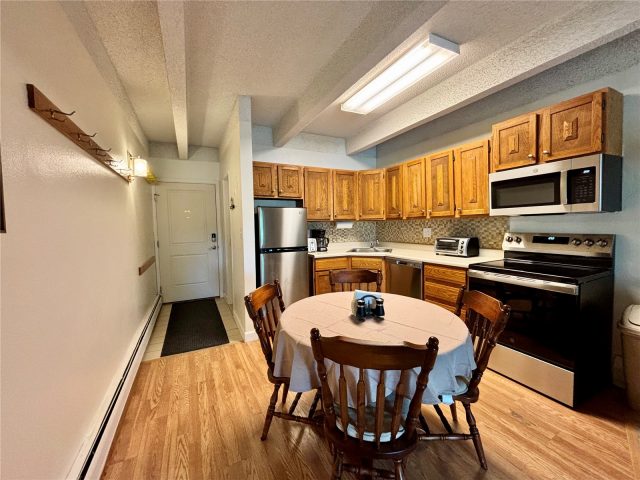 Condo in Ten Mile Creek Condo, Frisco, CO — photo 4 (MLS S1069917)