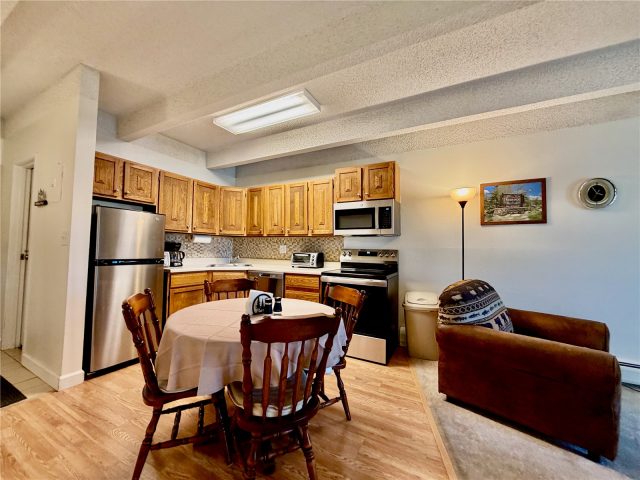 Condo in Ten Mile Creek Condo, Frisco, CO — photo 6 (MLS S1069917)