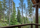 636 Western Sky Drive photo 23