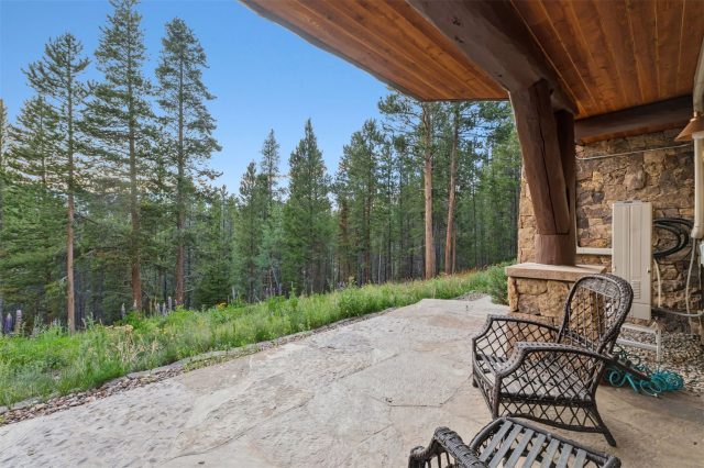 636 Western Sky Drive photo 39