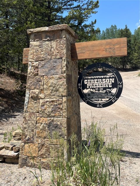 Home in Giberson Preserve Pud, Frisco, CO (MLS S1069960)