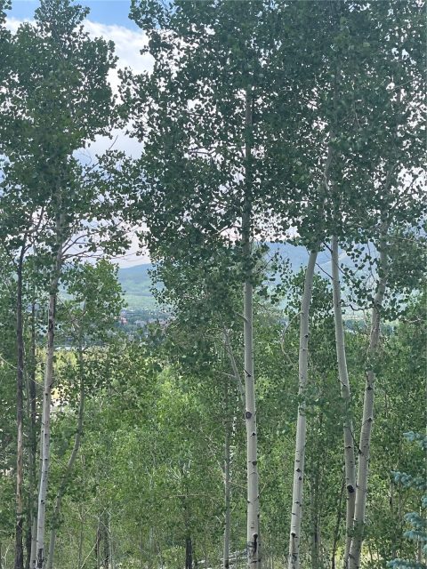 Home in Giberson Preserve Pud, Frisco, CO — photo 4 (MLS S1069960)