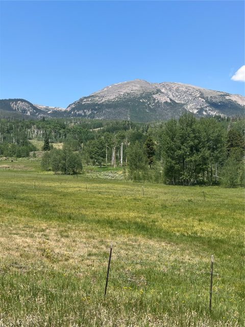 Home in Giberson Preserve Pud, Frisco, CO — photo 5 (MLS S1069960)