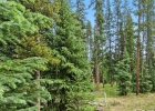 239 Sherwood Lane photo 49