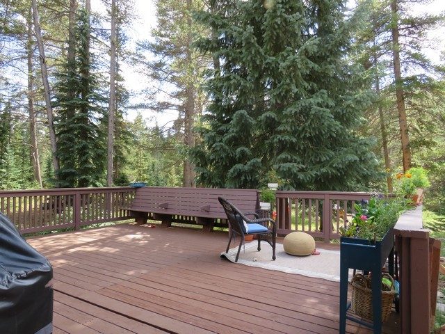 464 Wilderness Drive photo 12