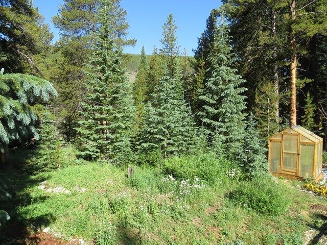 Home in Wilderness Sub, Breckenridge — photo 4 Home in Wilderness Sub, Breckenridge, CO — photo 4 (MLS S1069985)