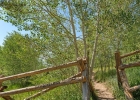 7324 Ryan Gulch Road 204 photo 28 7324 Ryan Gulch Road 204 photo 28