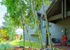 1108 Royal Buffalo Drive photo 43