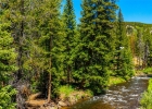 277 Wagon Road photo 10