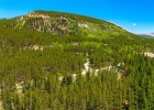 277 Wagon Road photo 11
