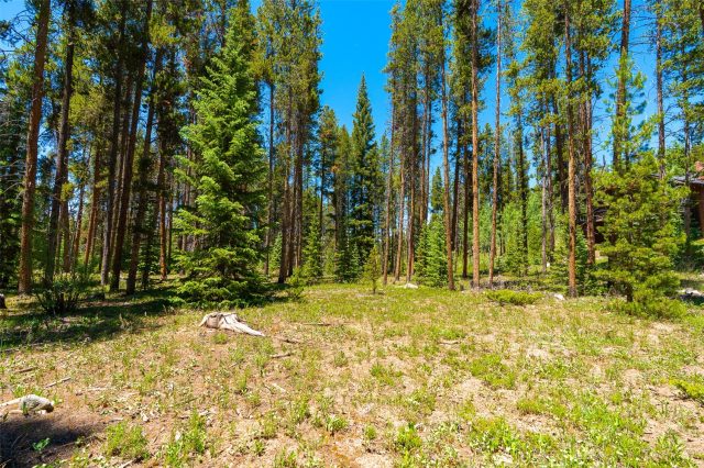 277 Wagon Road photo 39