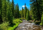277 Wagon Road photo 3