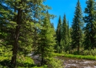277 Wagon Road photo 40