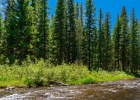 277 Wagon Road photo 41