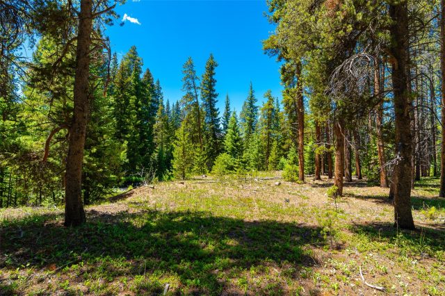 277 Wagon Road photo 43