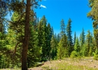 277 Wagon Road photo 43