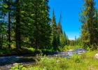 277 Wagon Road photo 44