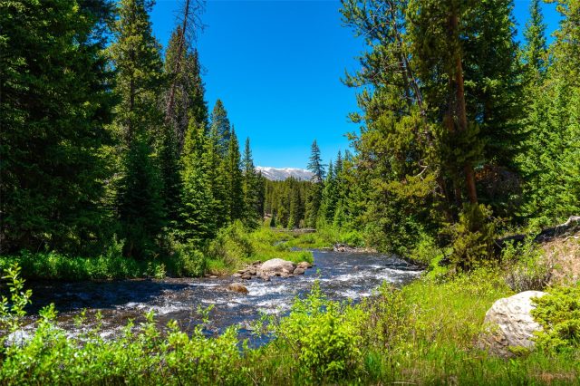 277 Wagon Road photo 45