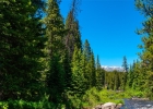 277 Wagon Road photo 45