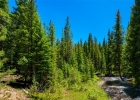 277 Wagon Road photo 46