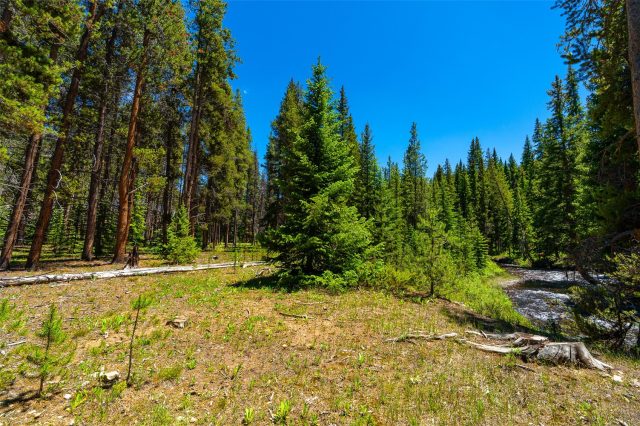 277 Wagon Road photo 47