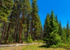 277 Wagon Road photo 47