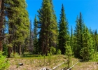 277 Wagon Road photo 48