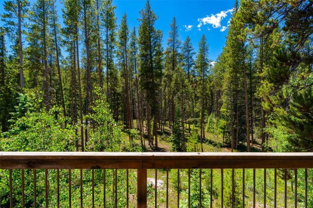 277 Wagon Road photo 49