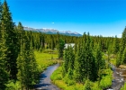 277 Wagon Road photo 4