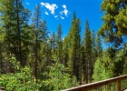 277 Wagon Road photo 50