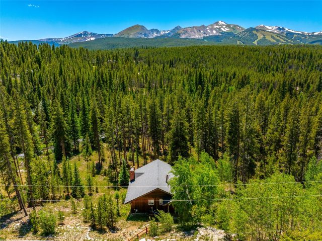 Home in Bekkedal Sub, Breckenridge, CO — photo 6 (MLS S1070008)