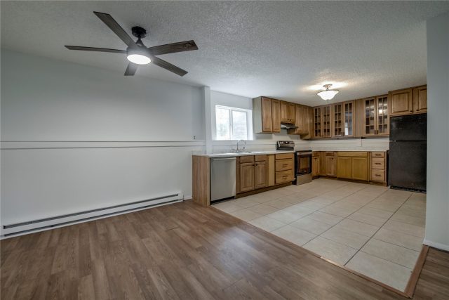 175 Pine Drive photo 15