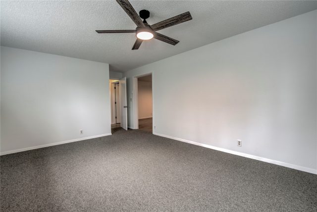 175 Pine Drive photo 22